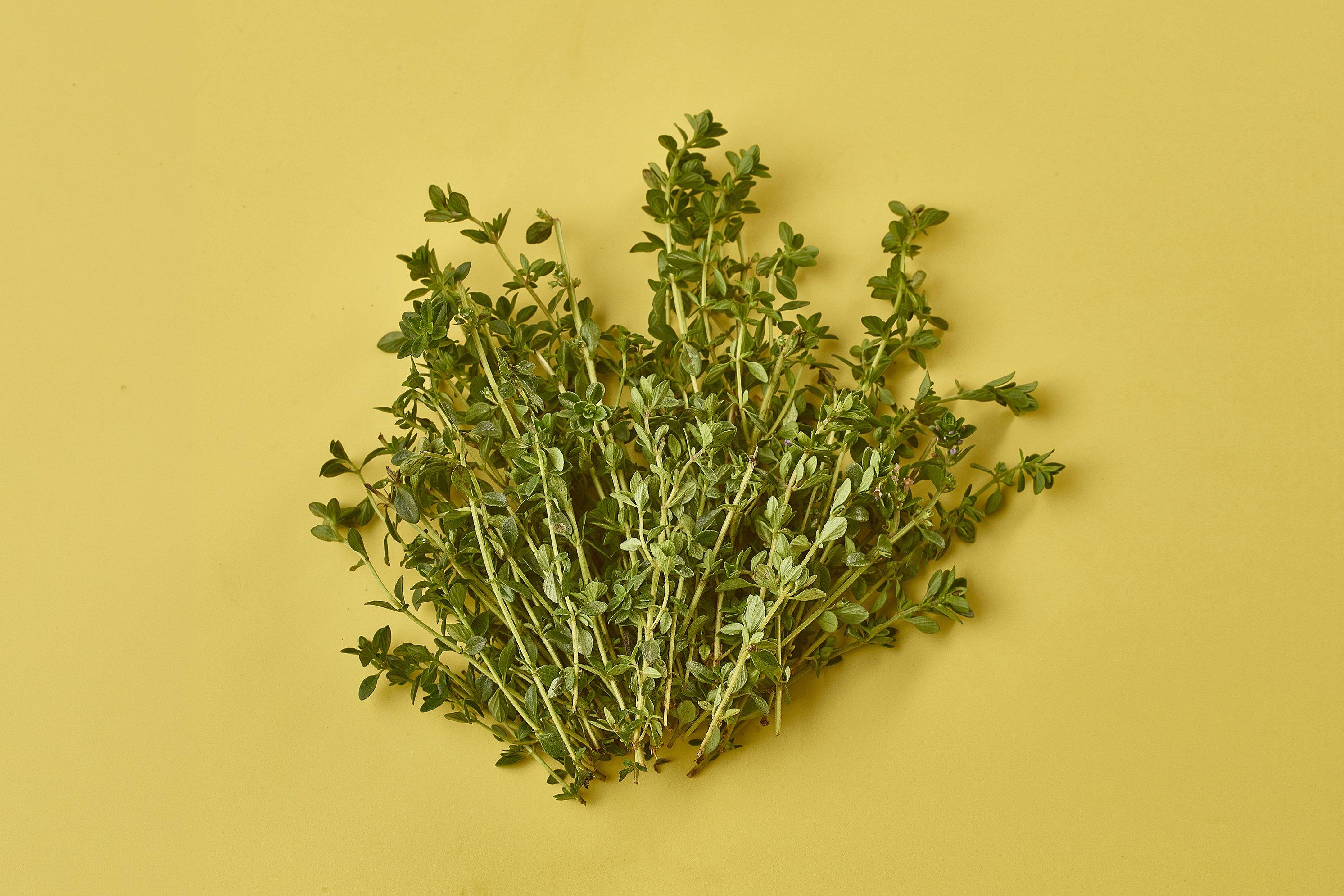 Lemon Thyme