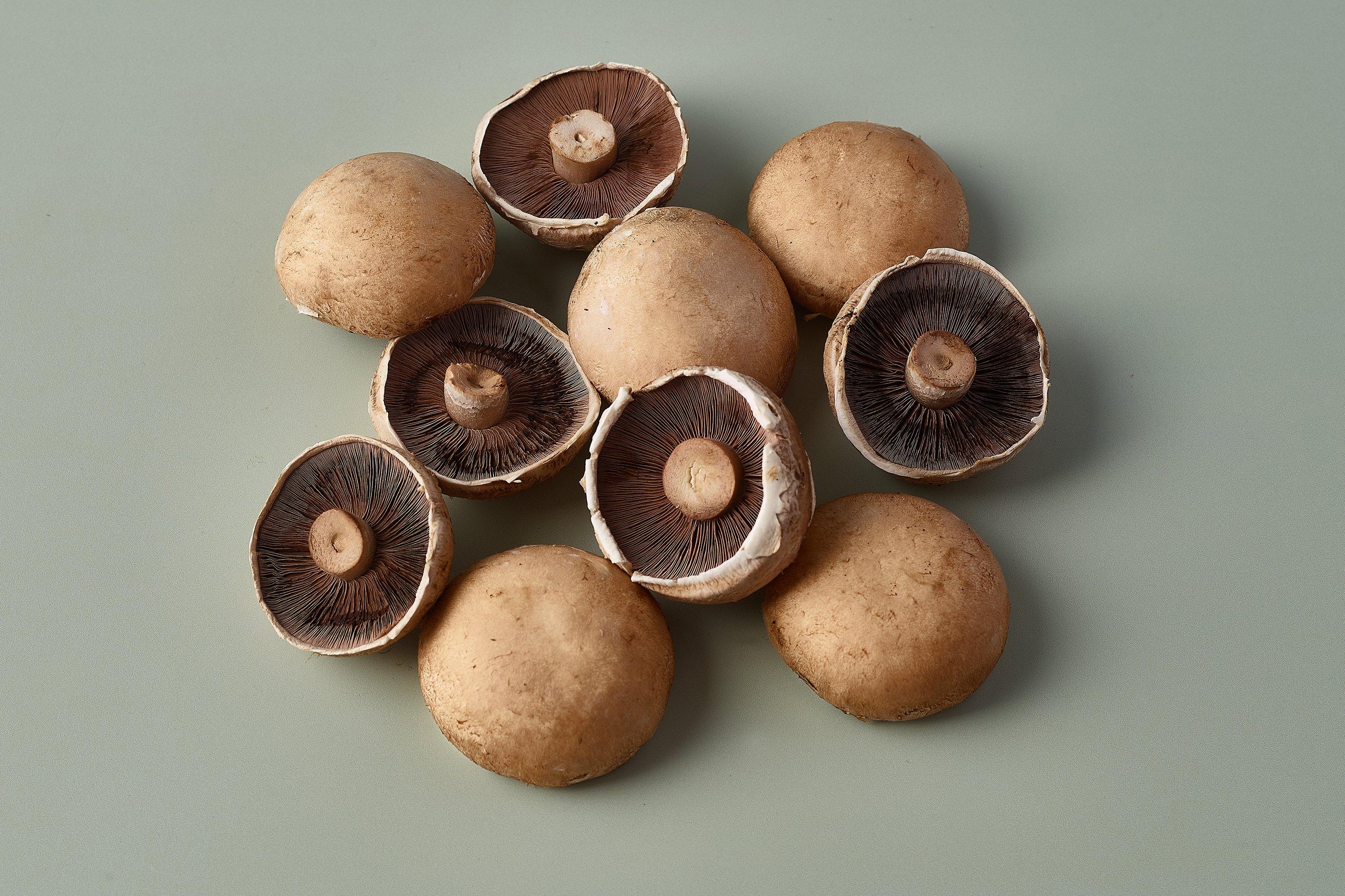 Portabellini Mushrooms