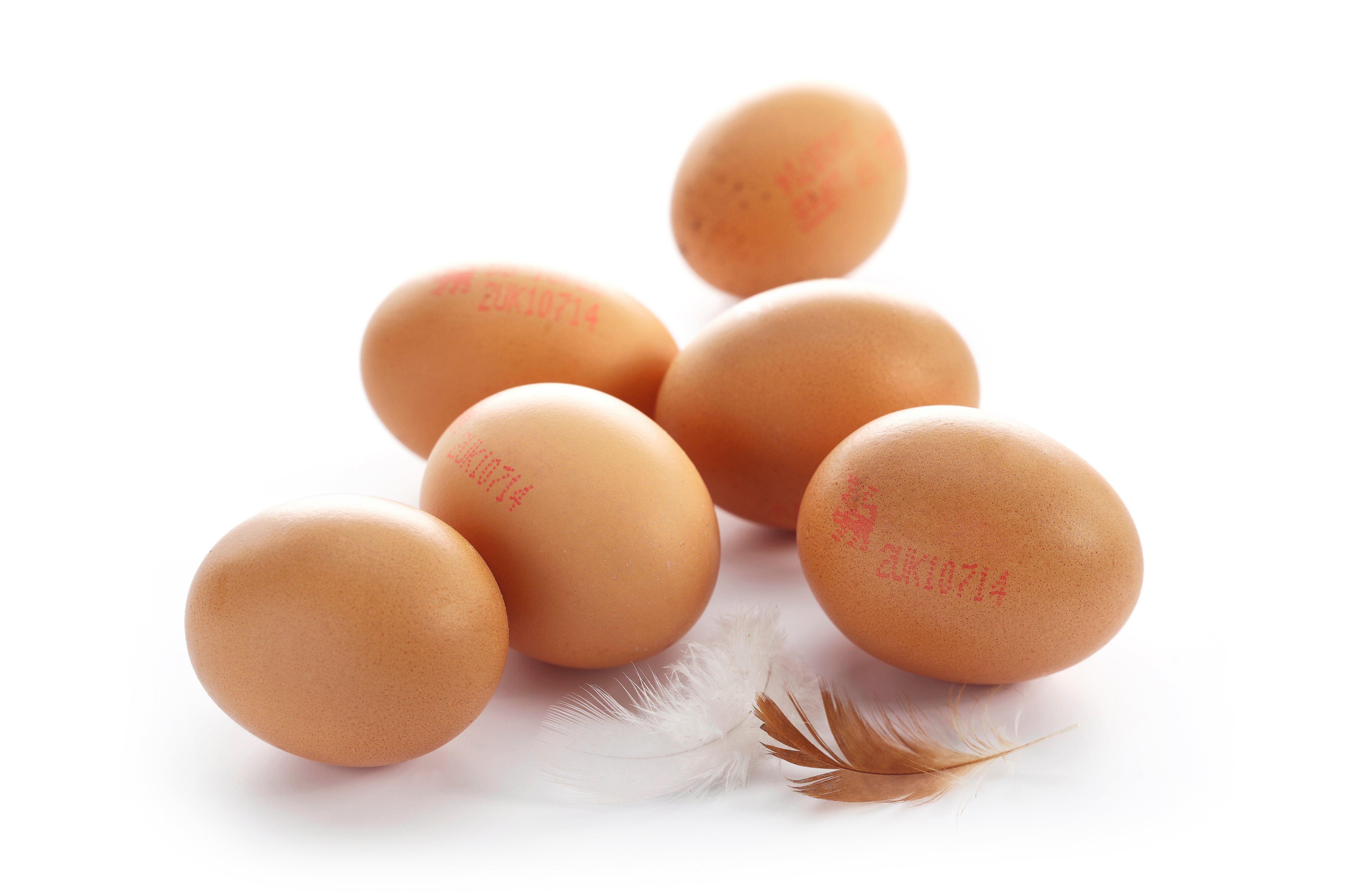 Wholesome Farms Medium Barn Eggs