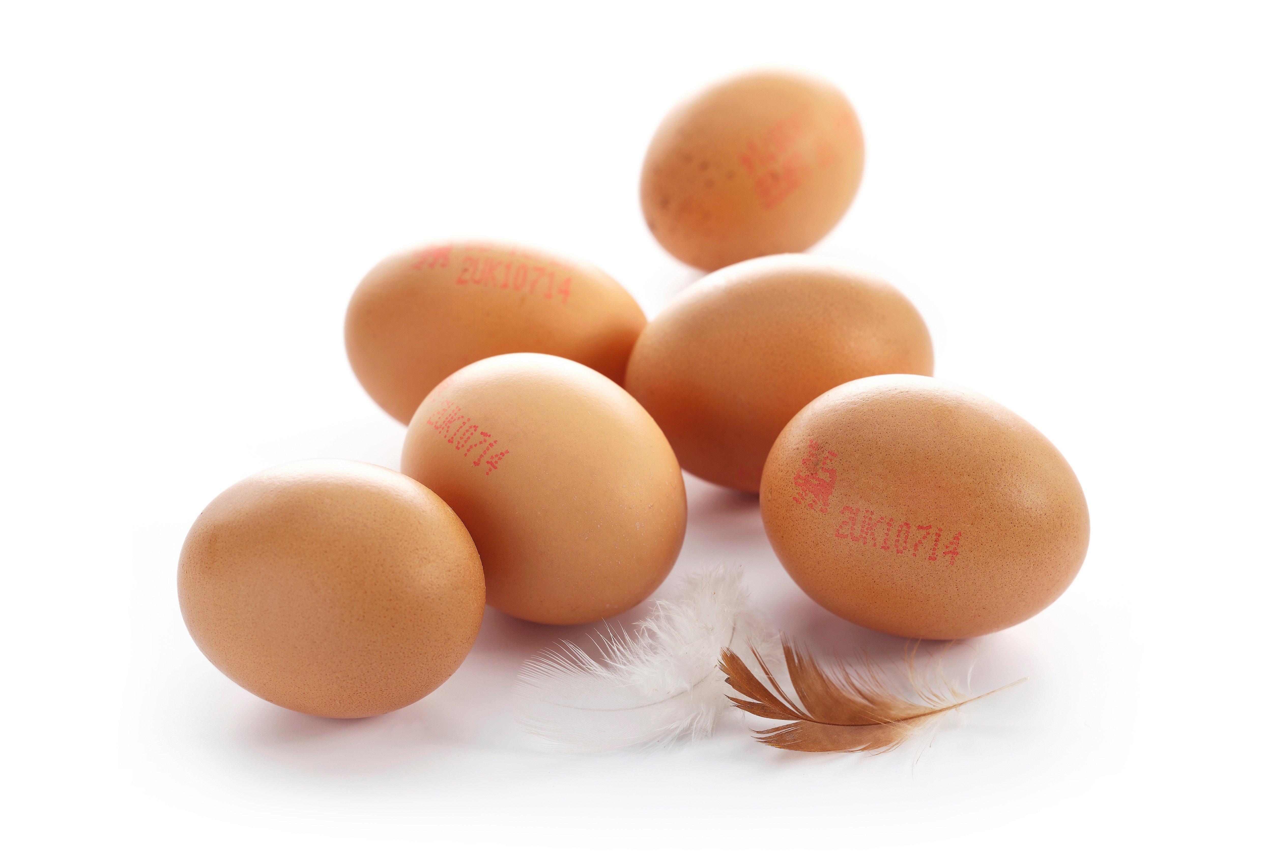 Wholesome Farms Medium Barn Eggs