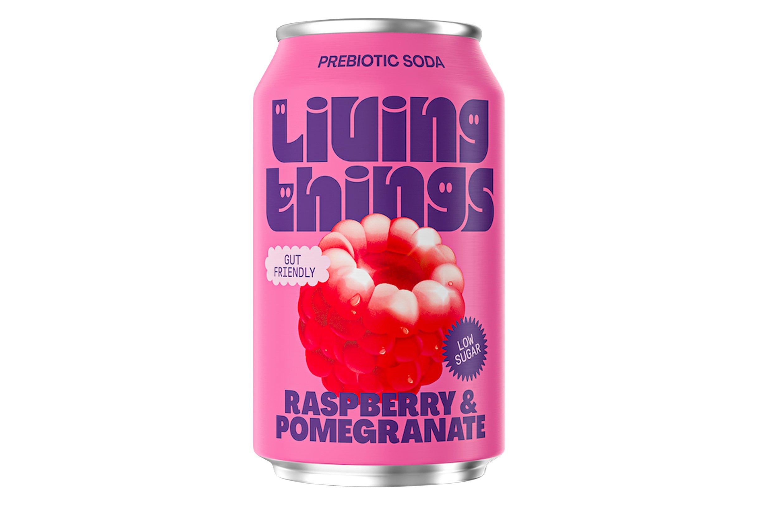 Living Things Sparkling Raspberry and Pomegranate 330ml