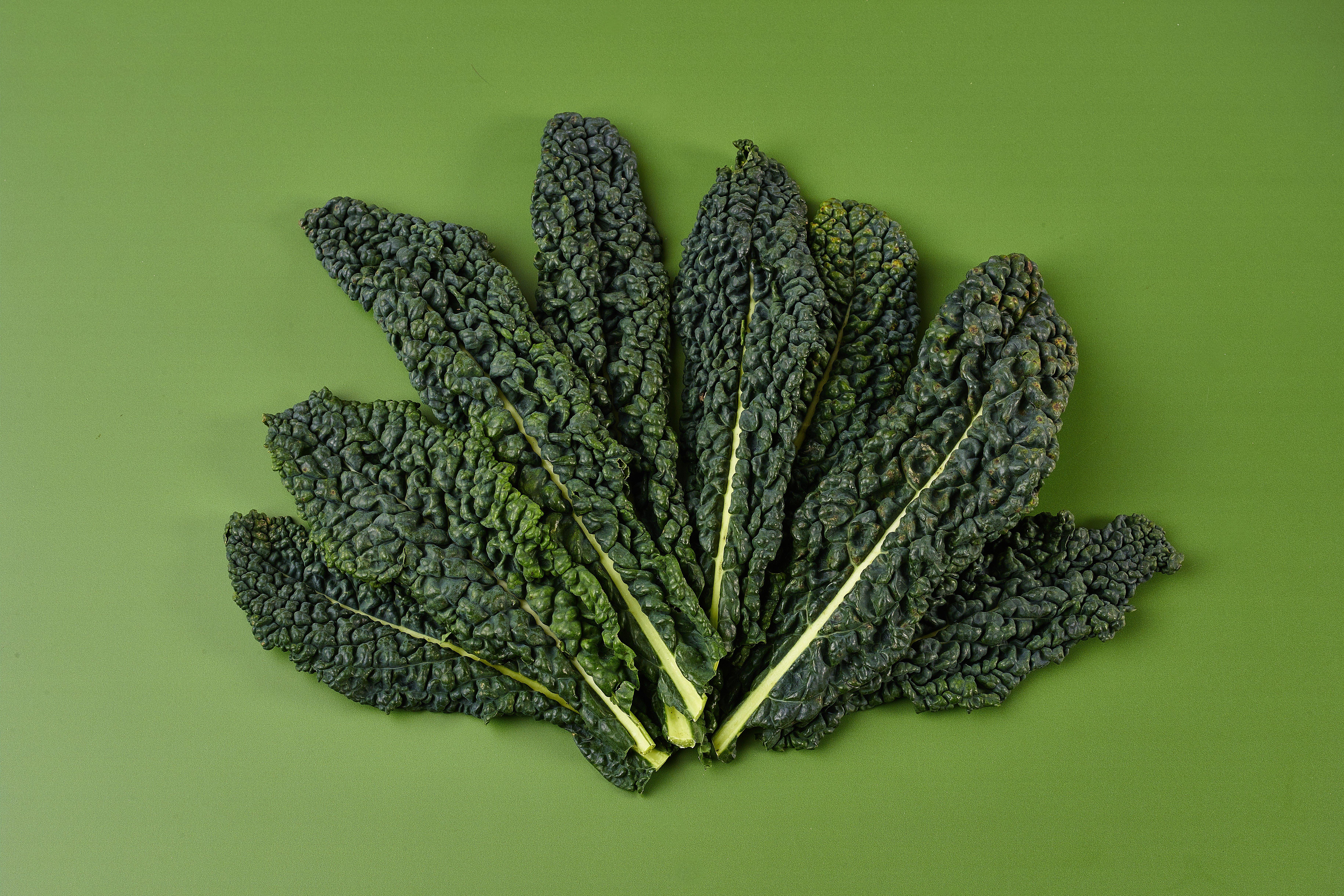 Cavolo Nero Cabbage