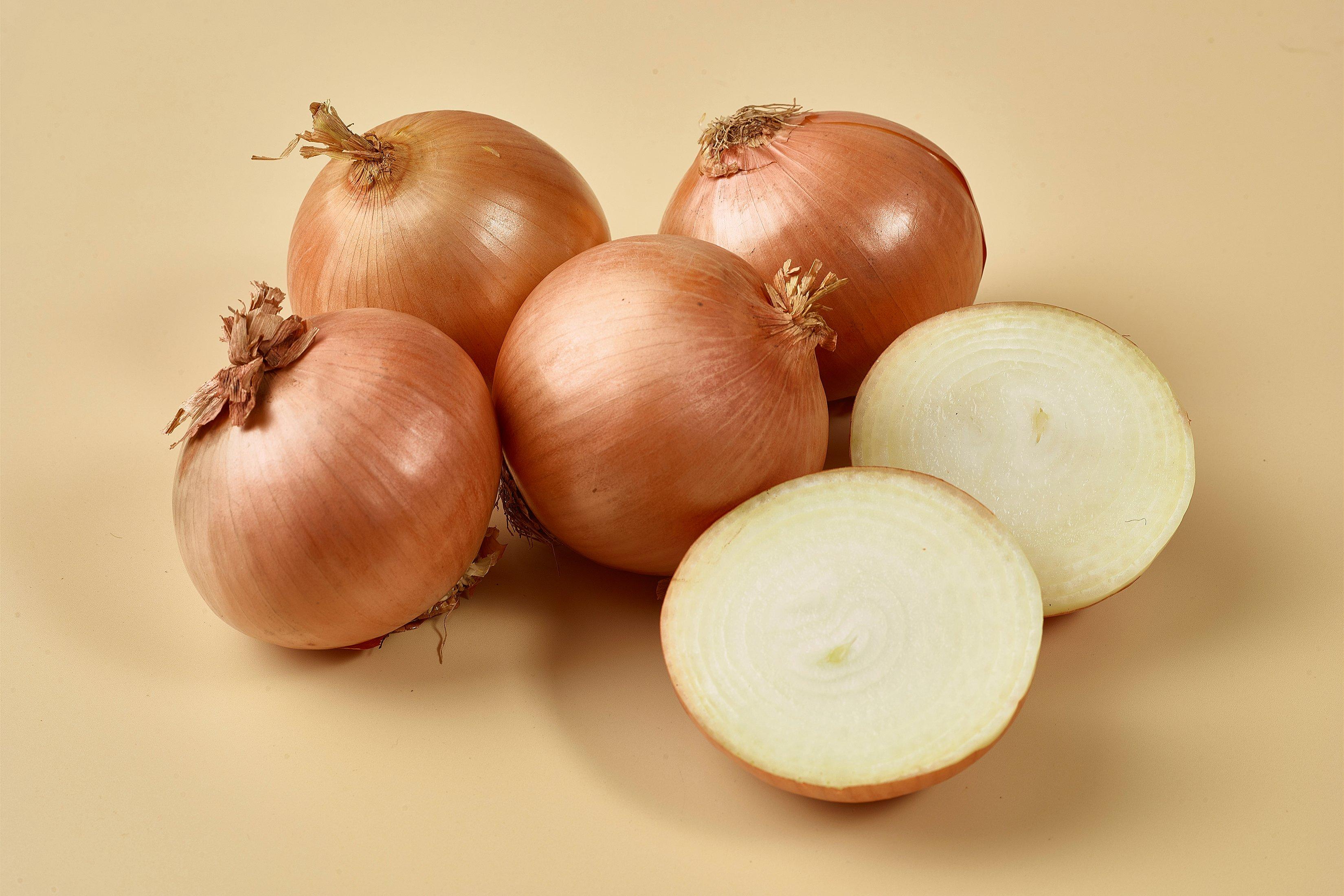 Onion Extra Large 120mm
