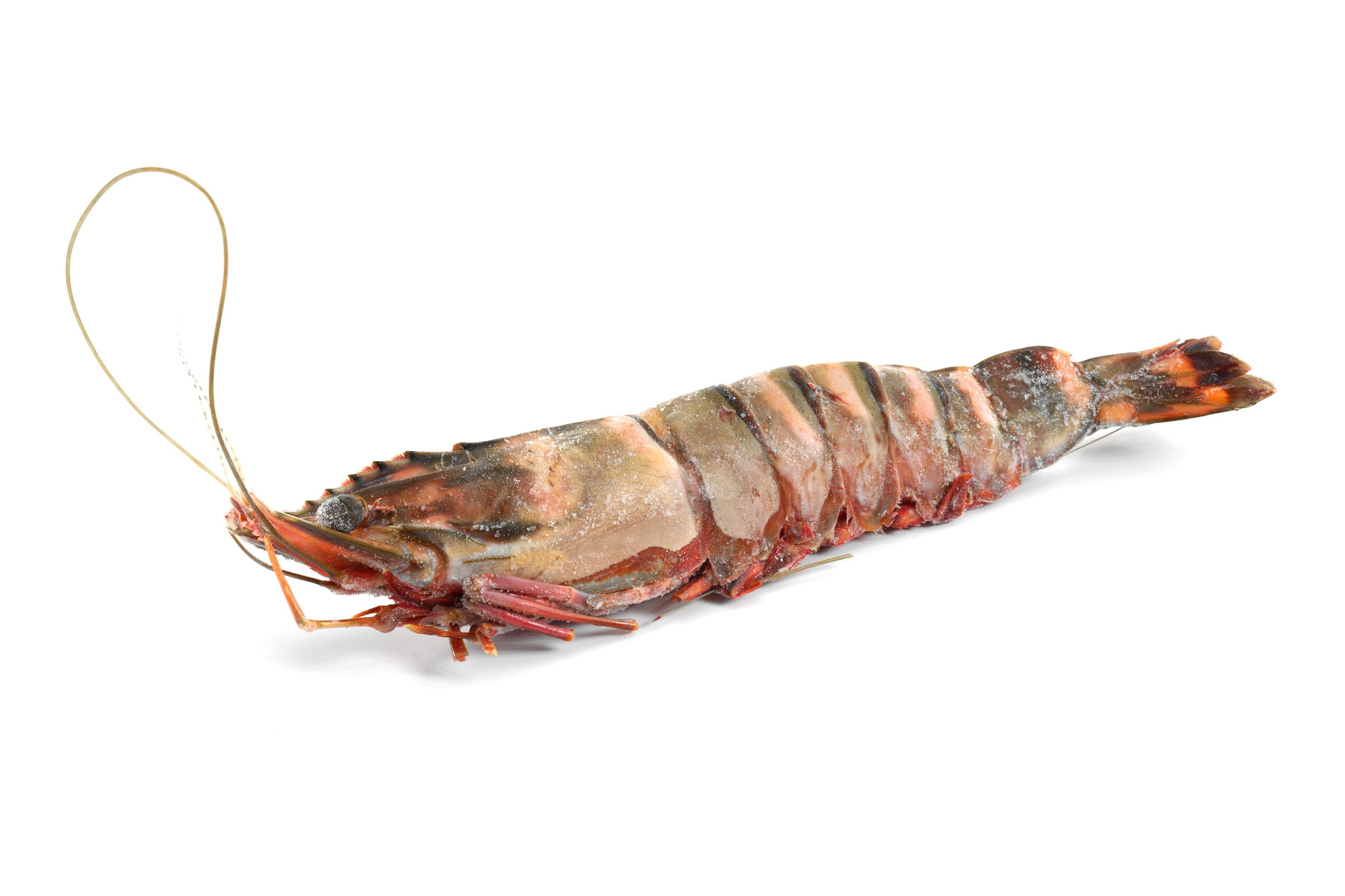 Banarly Black Tiger Prawn (head on / shell on) 6-8/kg