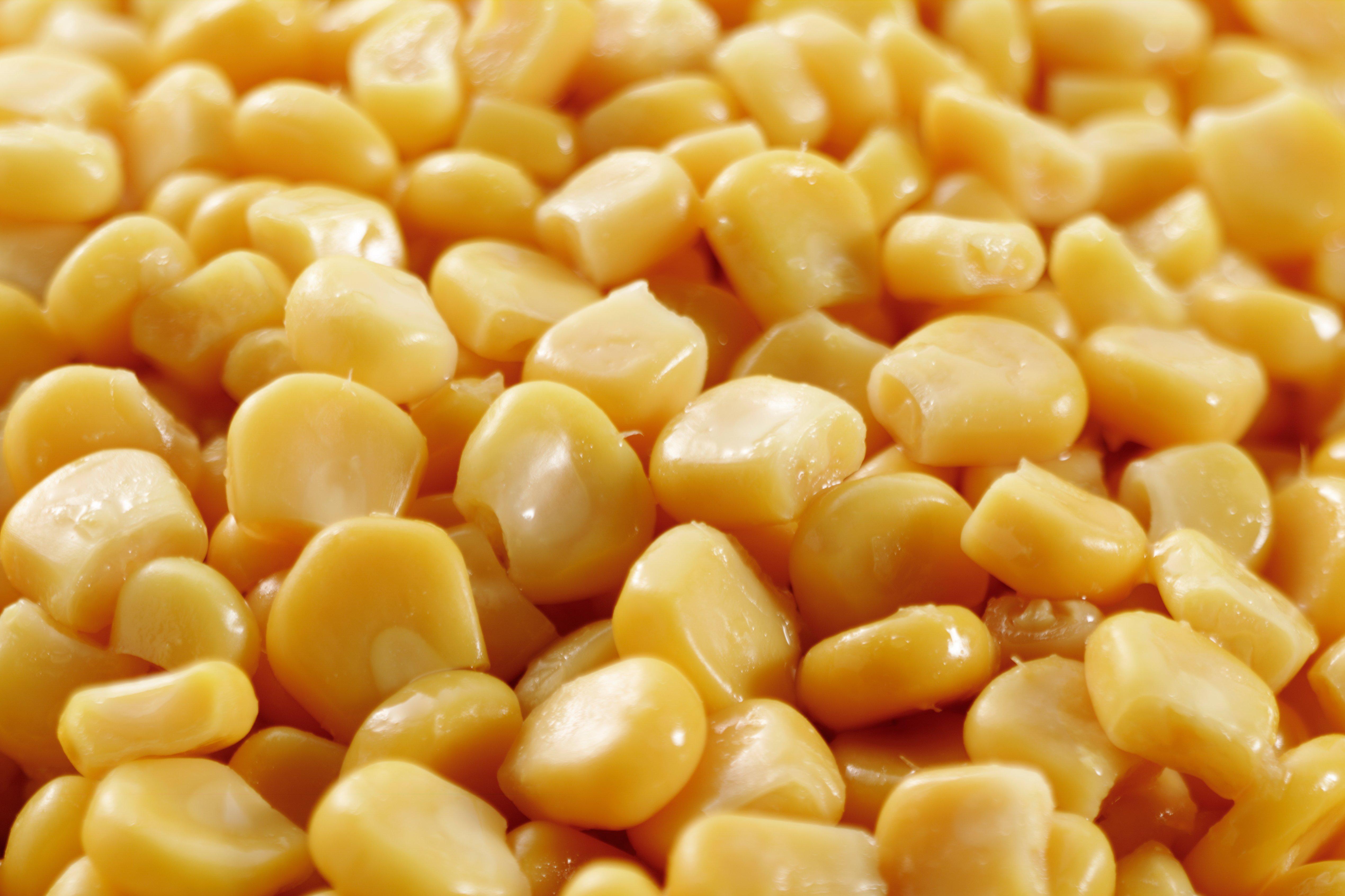 Sweetcorn in Water
