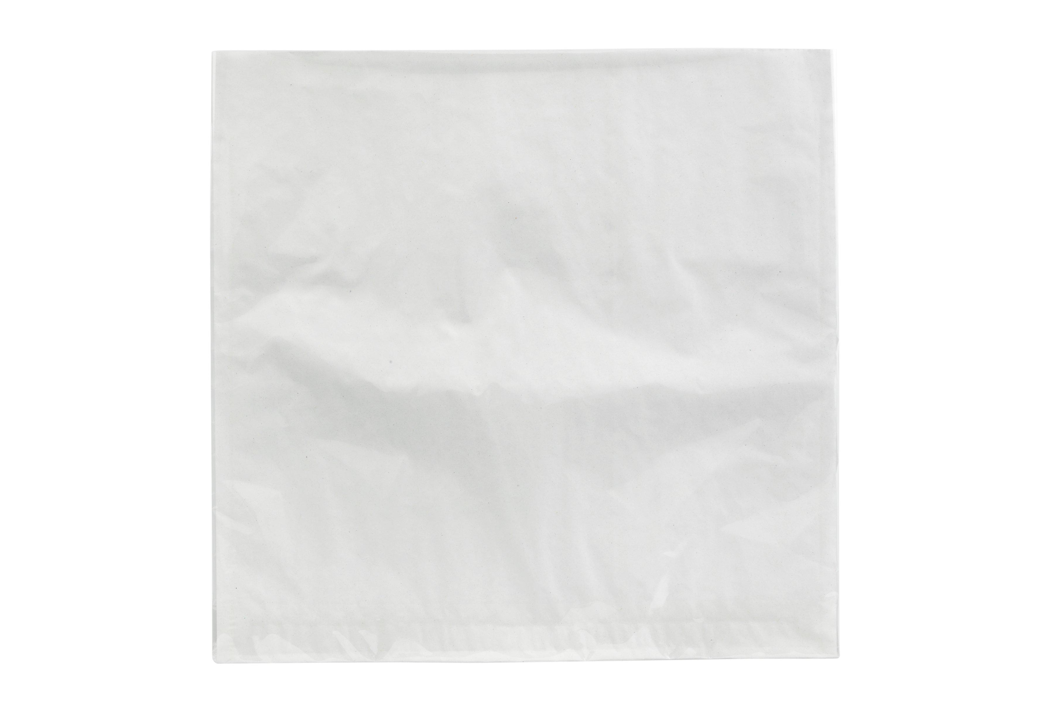 Film Front Bags 10x10" /25.4x25.4cm