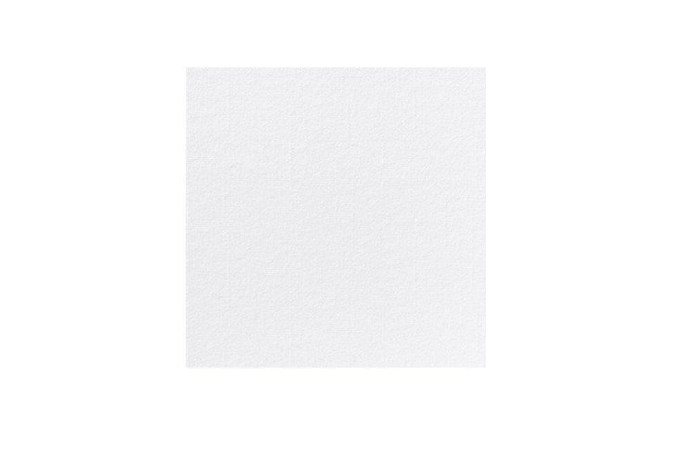 Brakes White 2ply Napkin 33cm