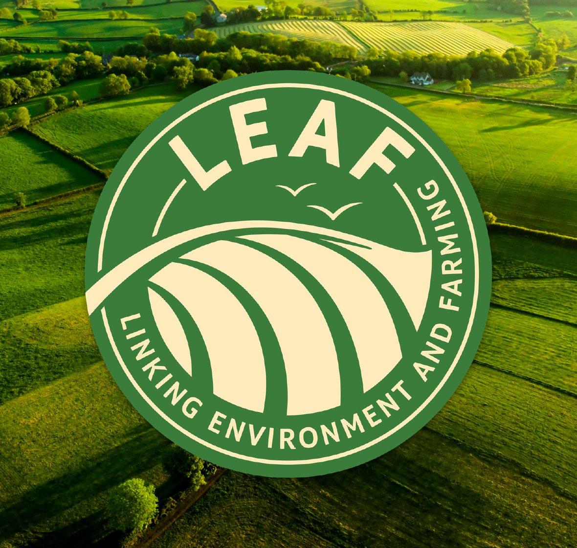 LEAF Marque produce