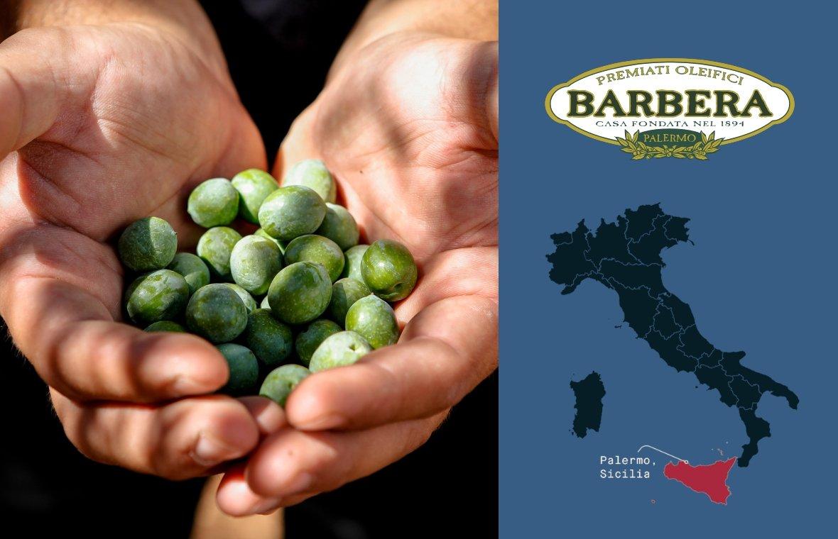 Manfredi Barbera