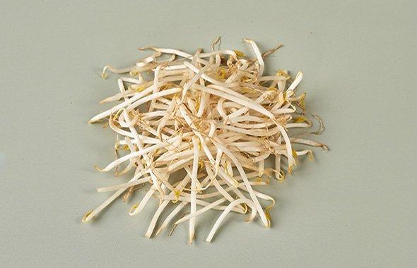 Beansprouts