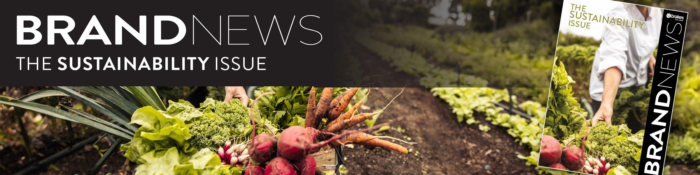 Brand-News-Sustainability-Banner-1200x300