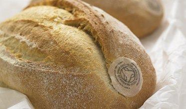 Bread