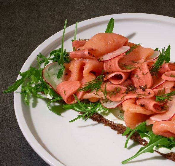 Salmon & Trout