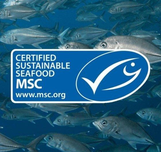 Sustainable fish & seafood