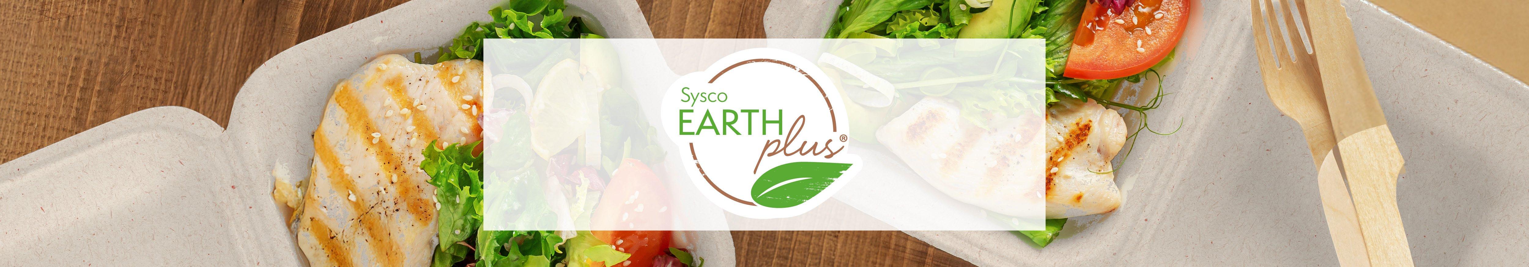 Earth-Plus-Banner-1200x210