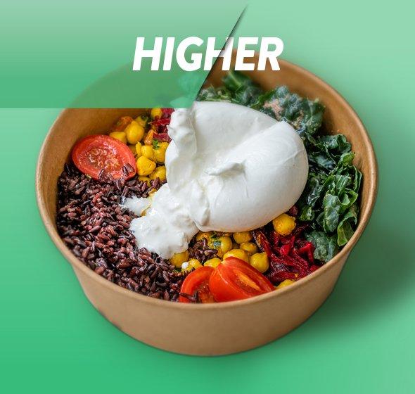 Higher education