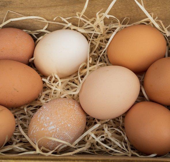 Free range eggs to be relabelled as Barn
