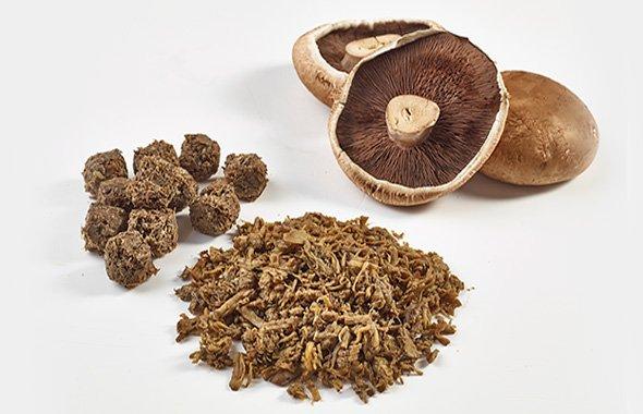 Foraged® Mushroom Meat