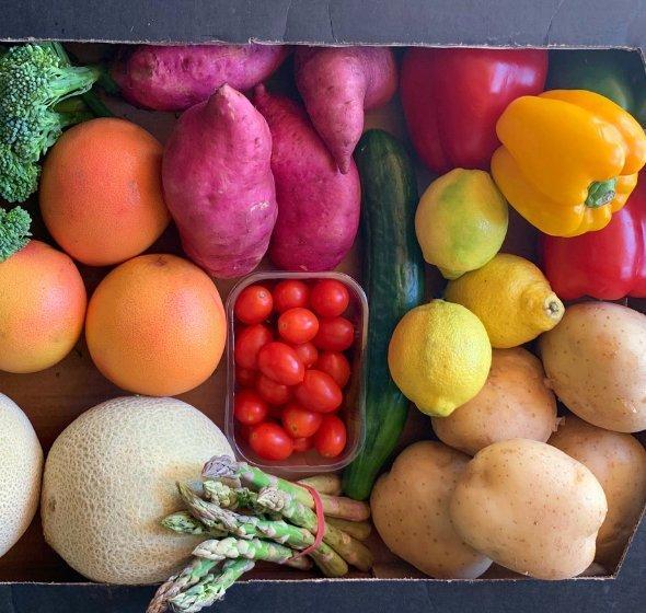 What's in season?