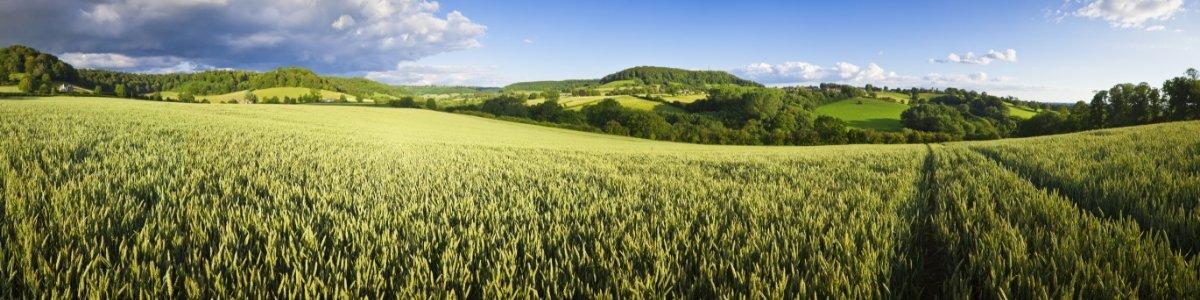 Hero-Banner-Sustainability