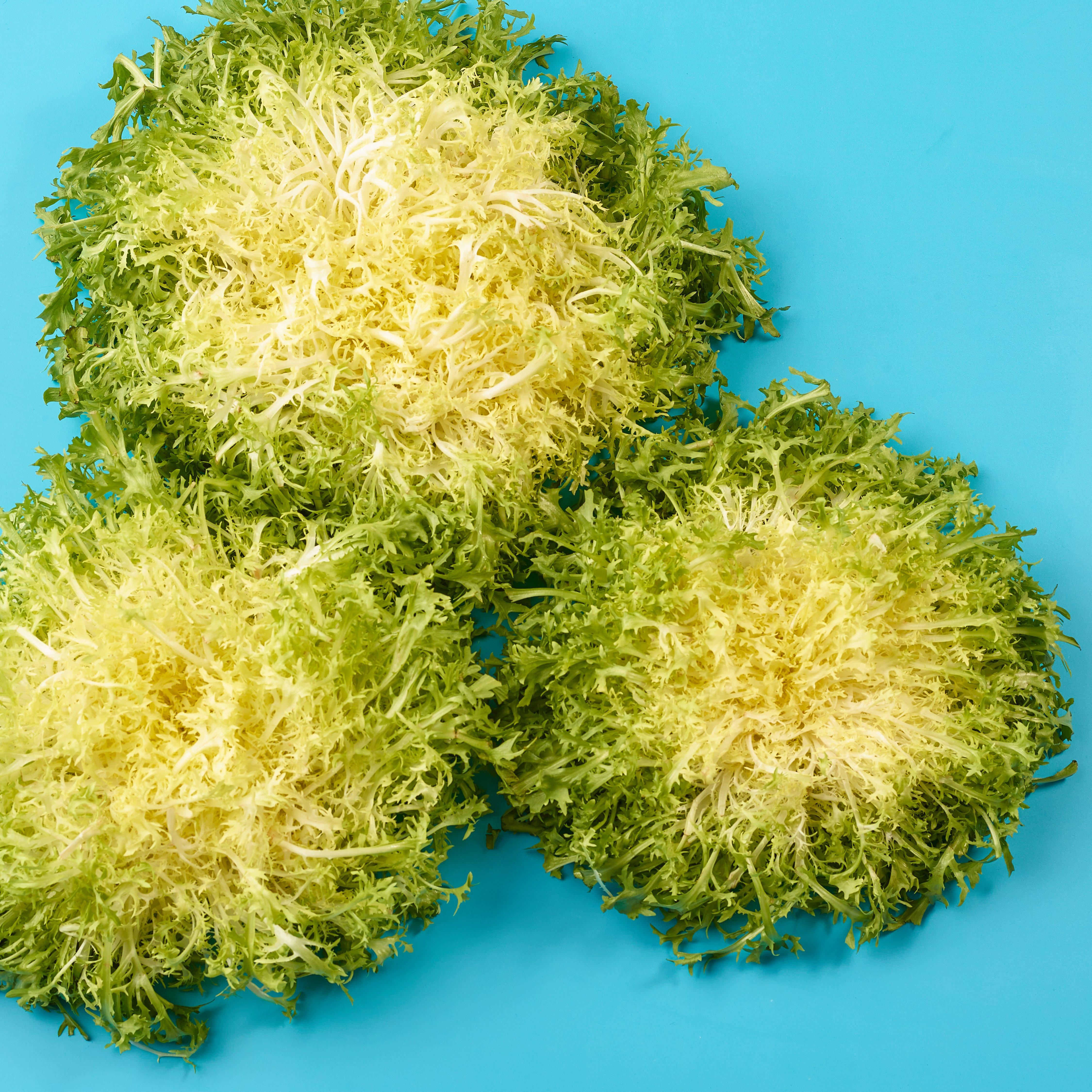 Frisée 