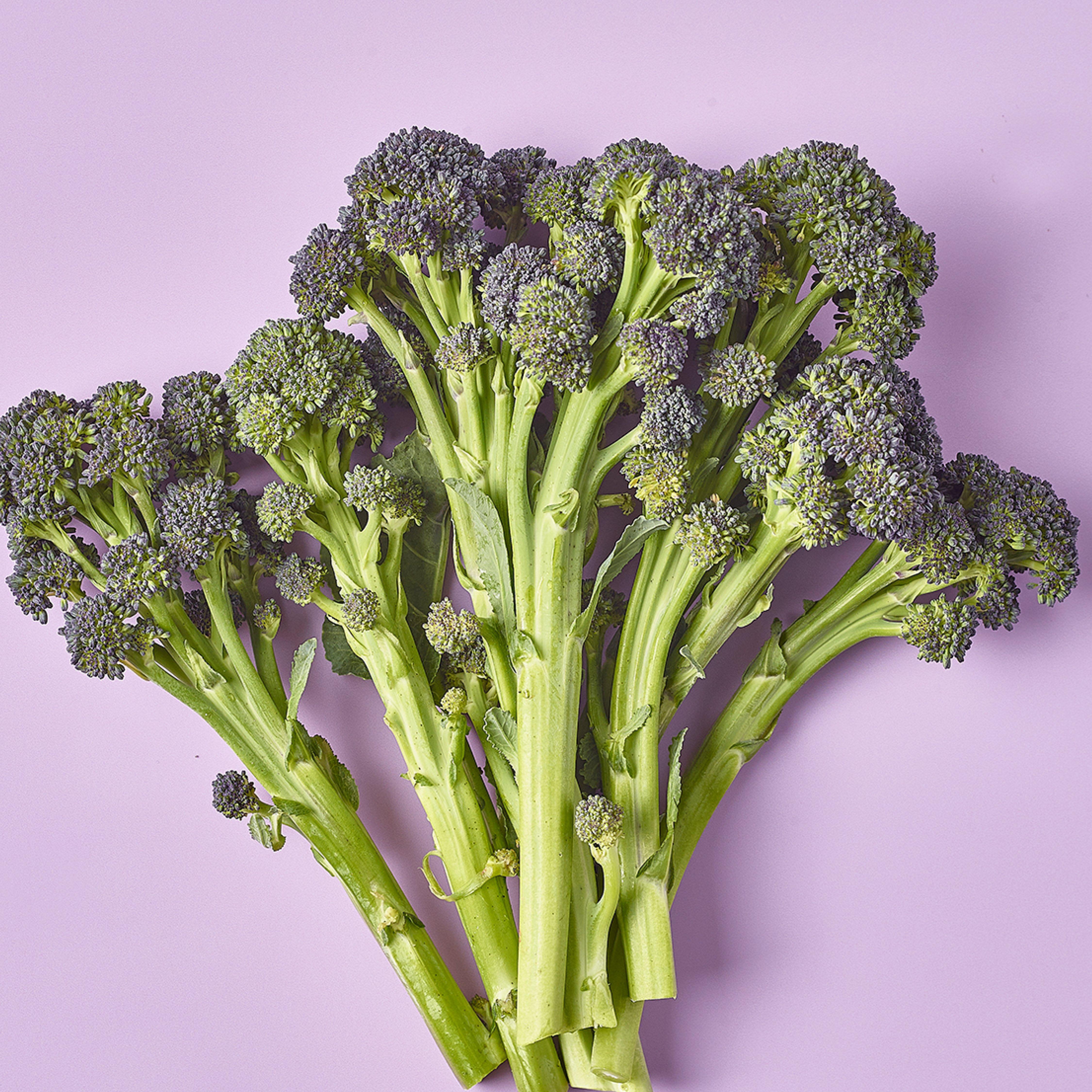 Purple Sprouting Broccoli 