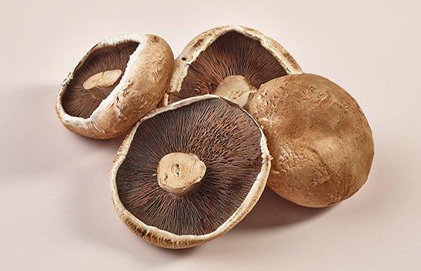 Large Portobello Mushrooms