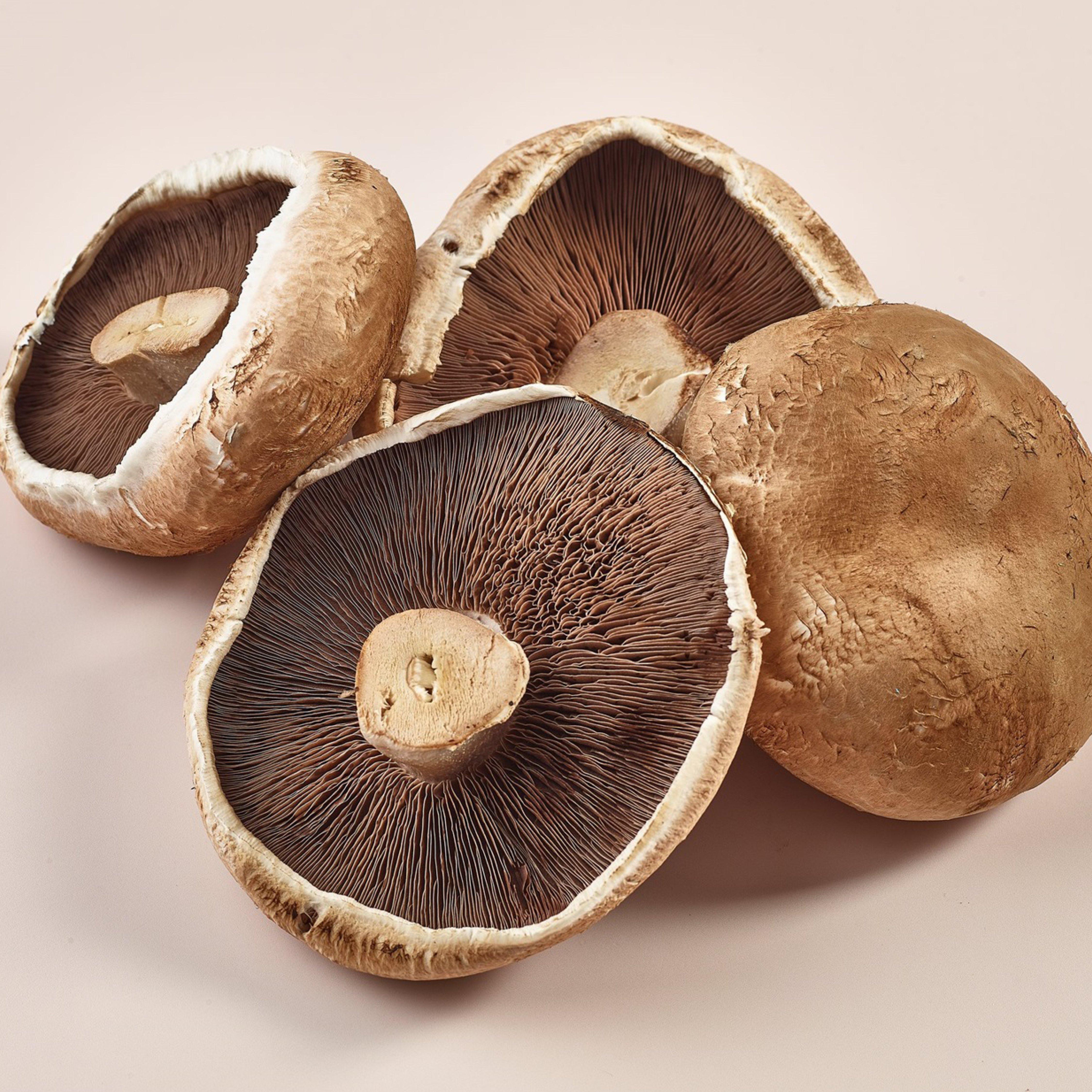 Portabellini Mushrooms