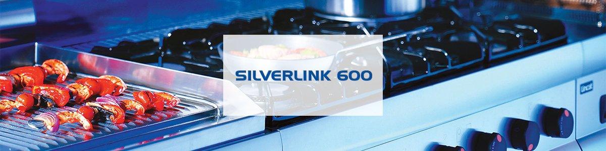 Silverlink6001200x300px