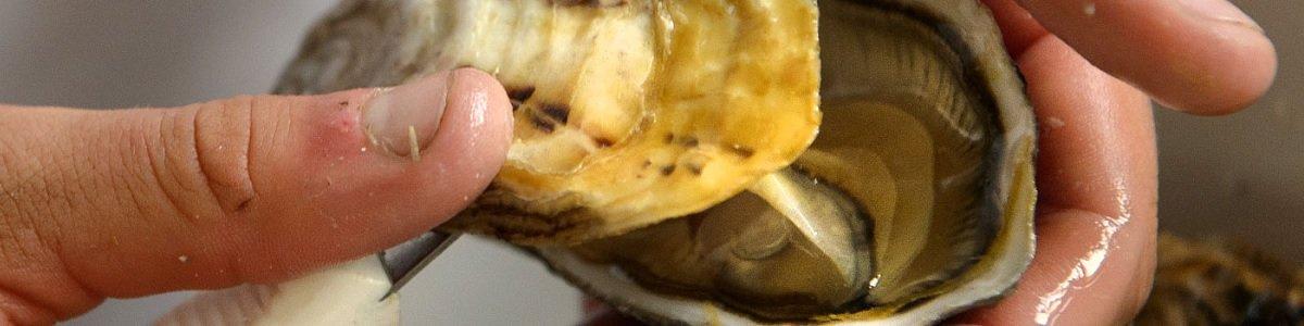 Aquaculture Stewardship Council