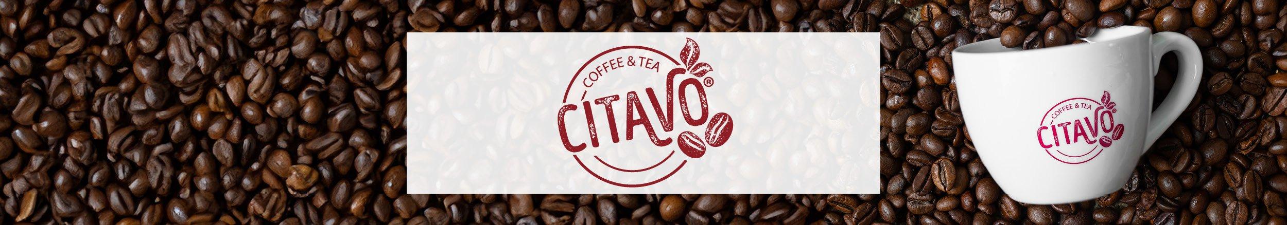 citavo-website-banner-1200x210
