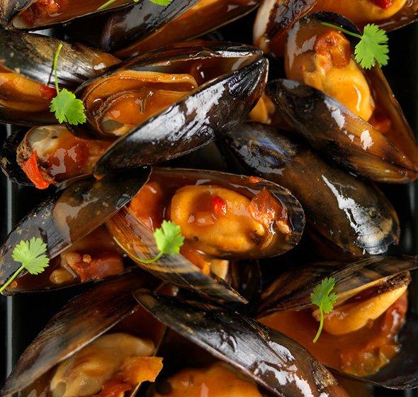Sustainable Fish & Seafood