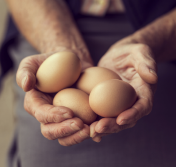 Eggs