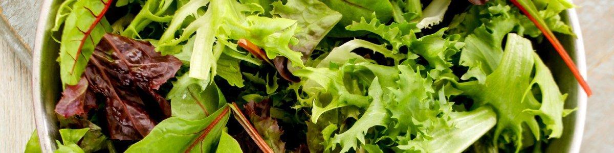 summer-salad-leaves-inline