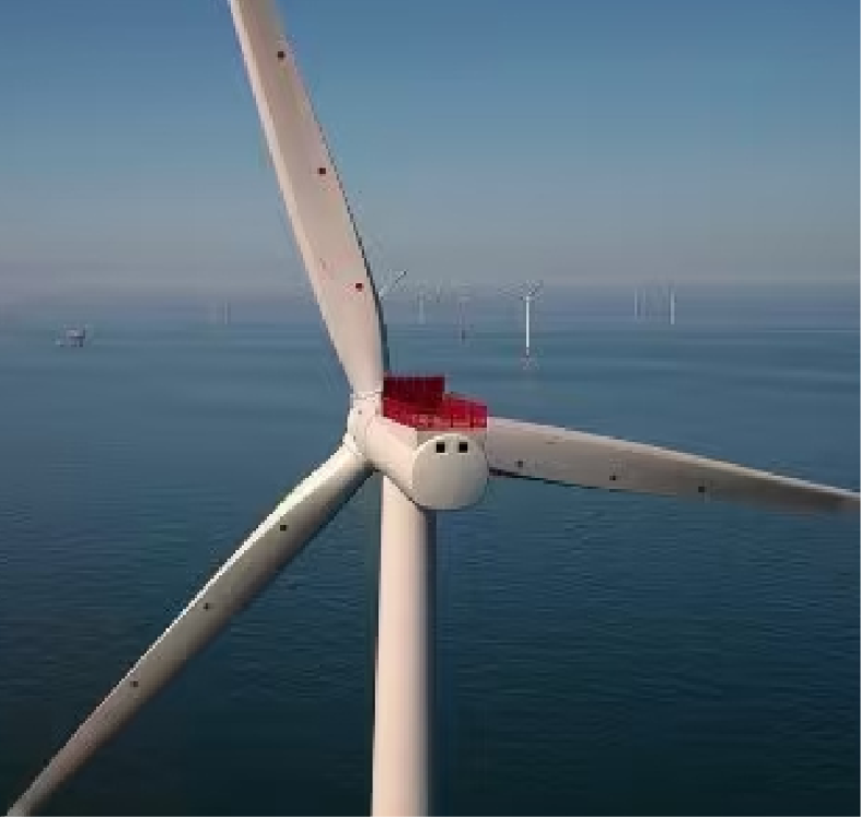 Working towards a sustainable future