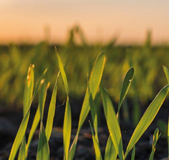 6 reasons why compost is great