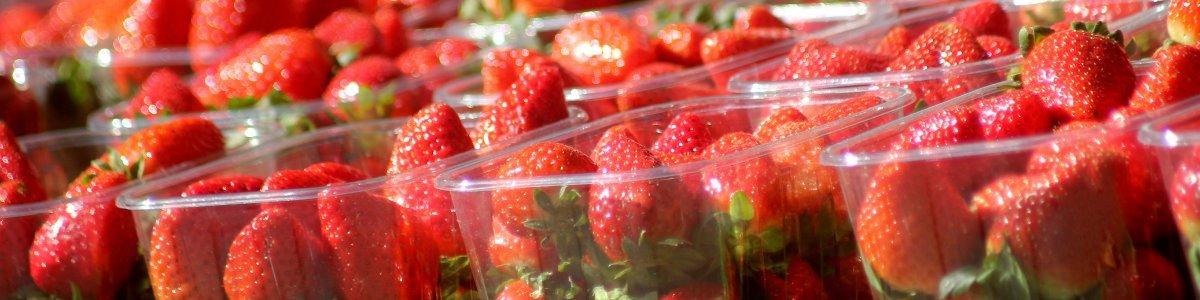 wimbledon_header_banner