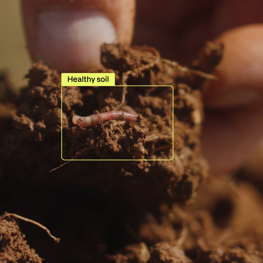 Explanation of Regenerative Agriculture