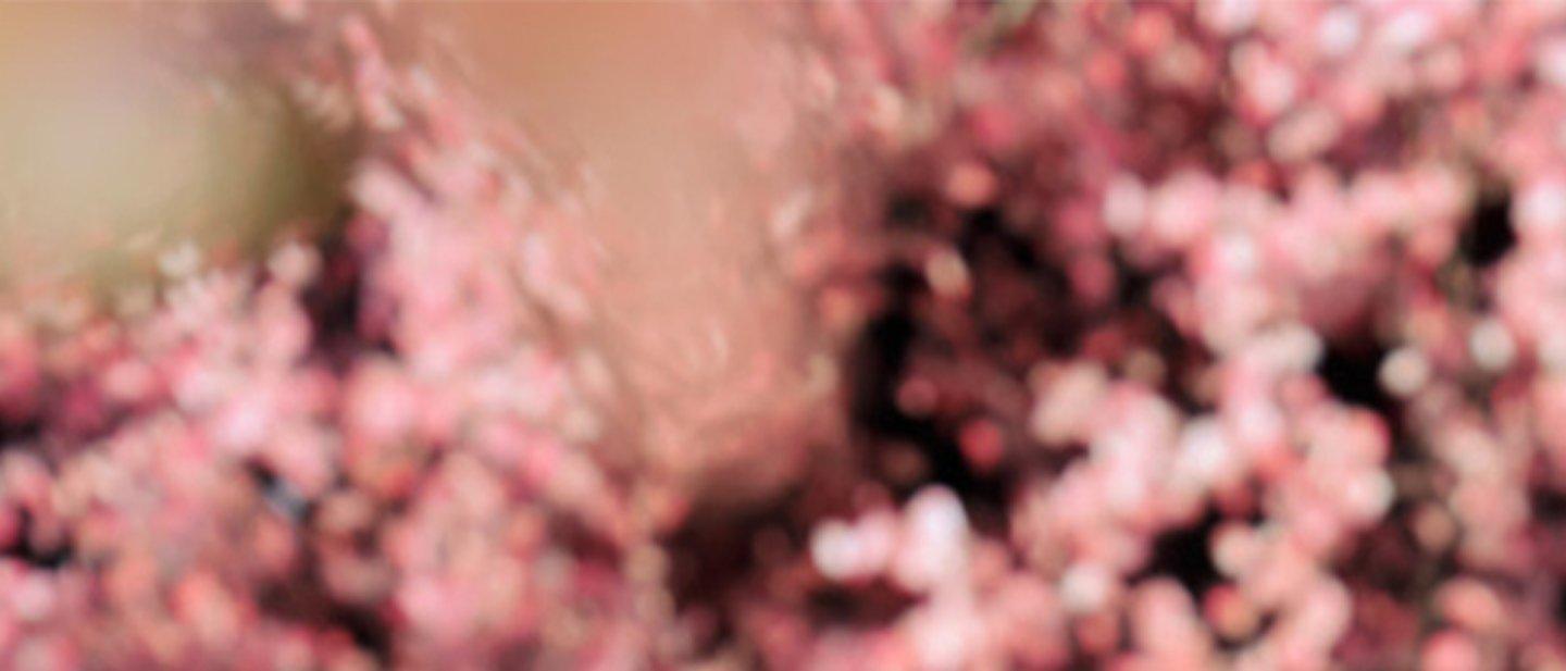 Catrice Own your magic