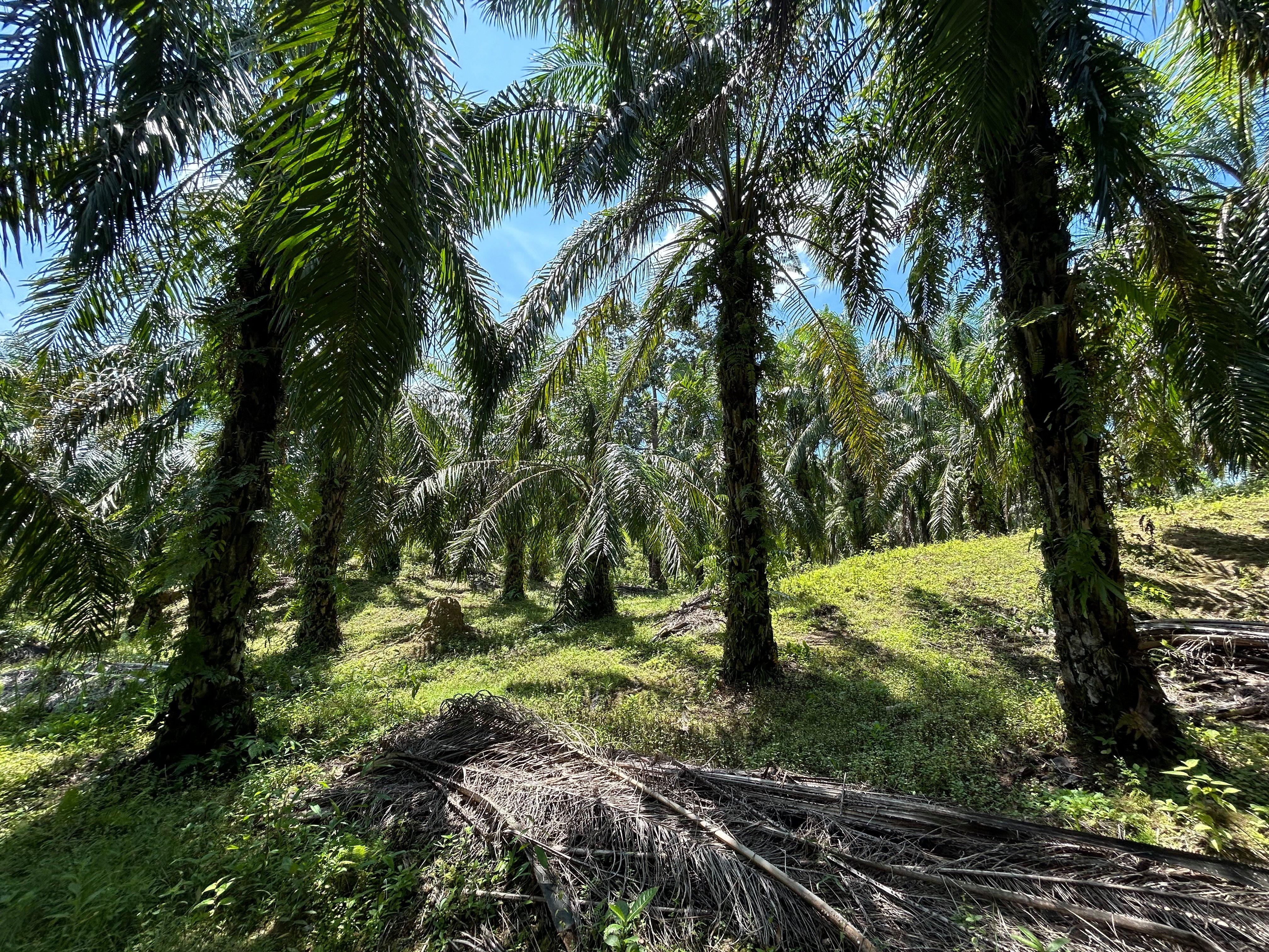 CATRICE Environment & Climate