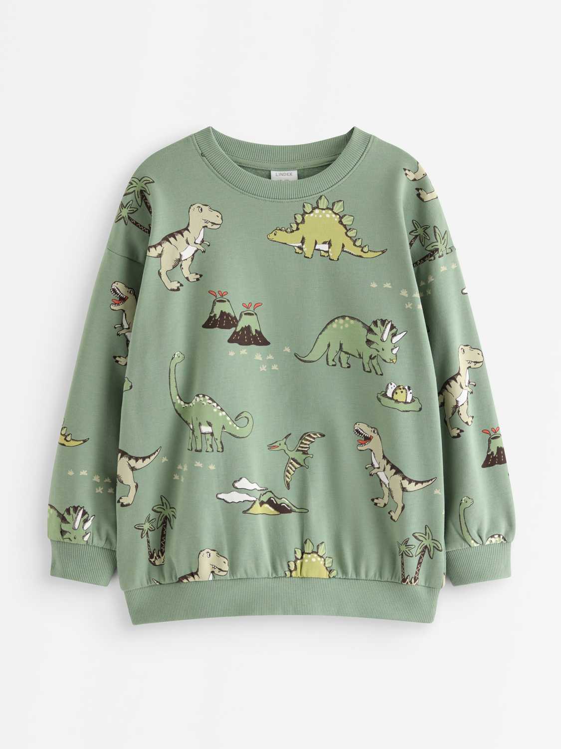 Sweatshirt med borstad insida