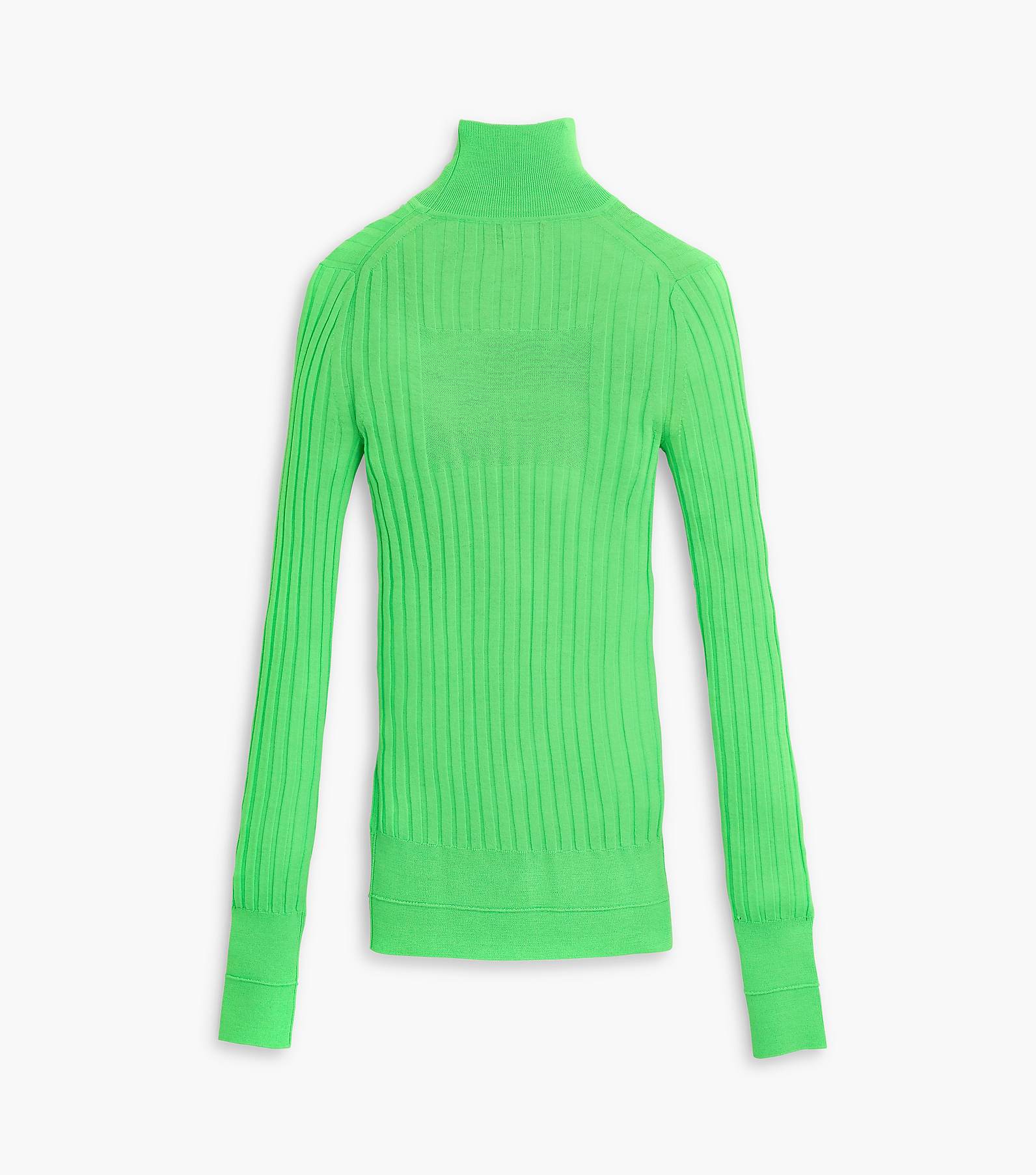 The Lightweight Ribbed Turtleneck(null)