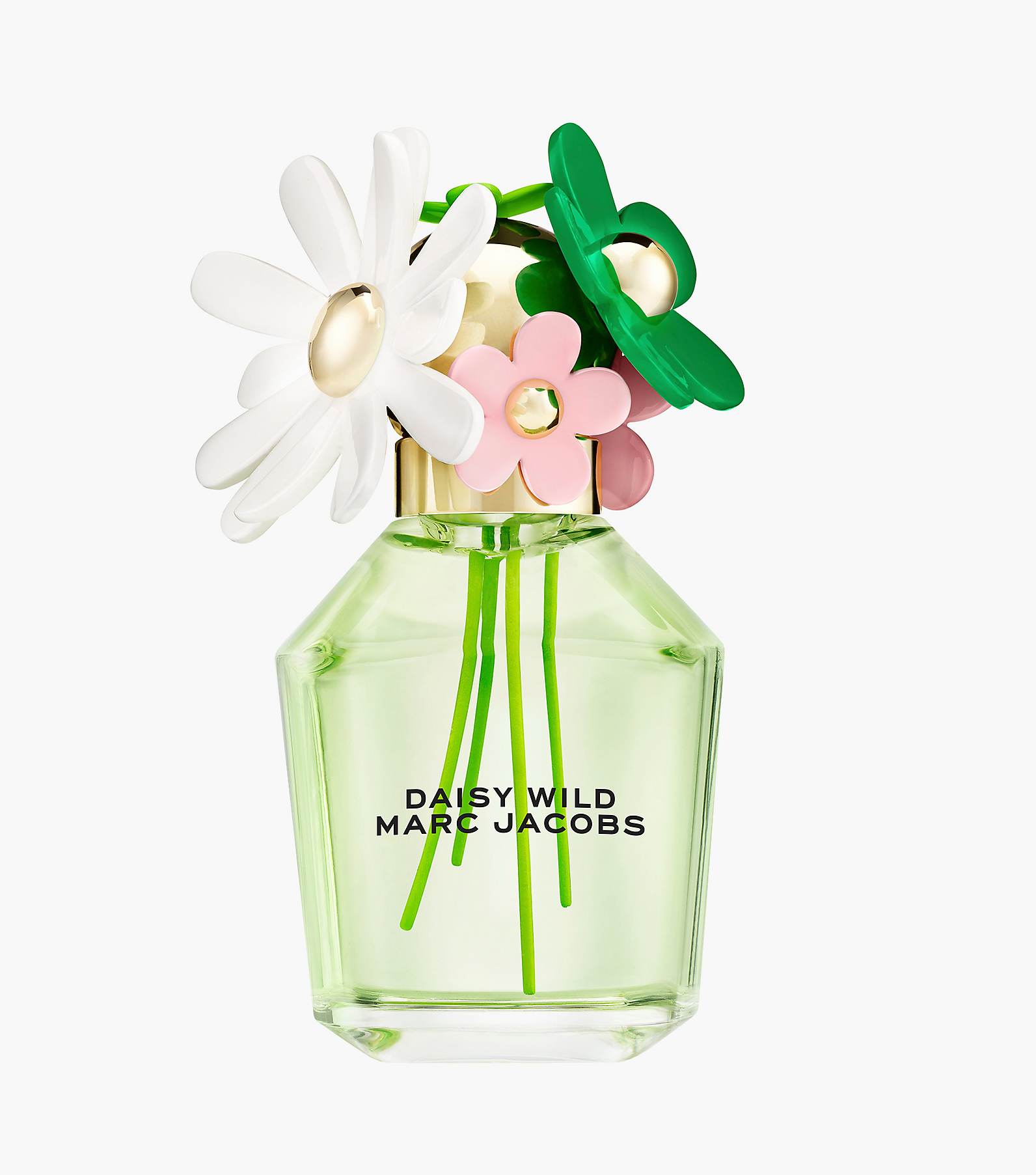 Daisy Wild Eau De Parfum 3.3 oz(View All Fragrance)