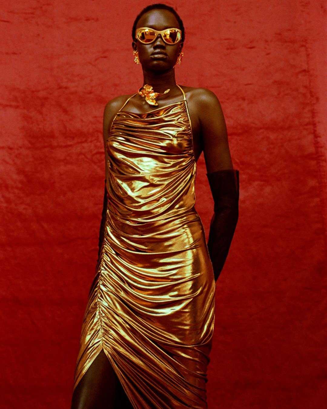 Gold Dress and Snapshot