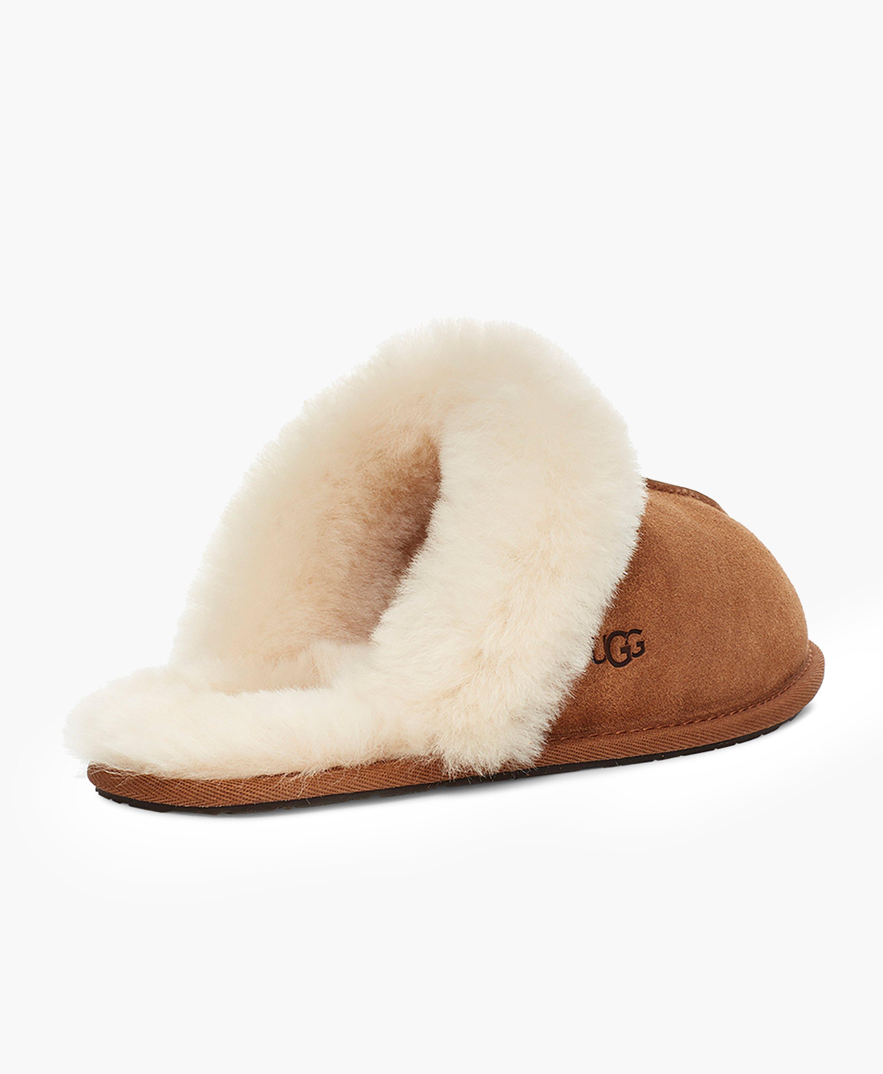 UGG Scuffette II Shoes