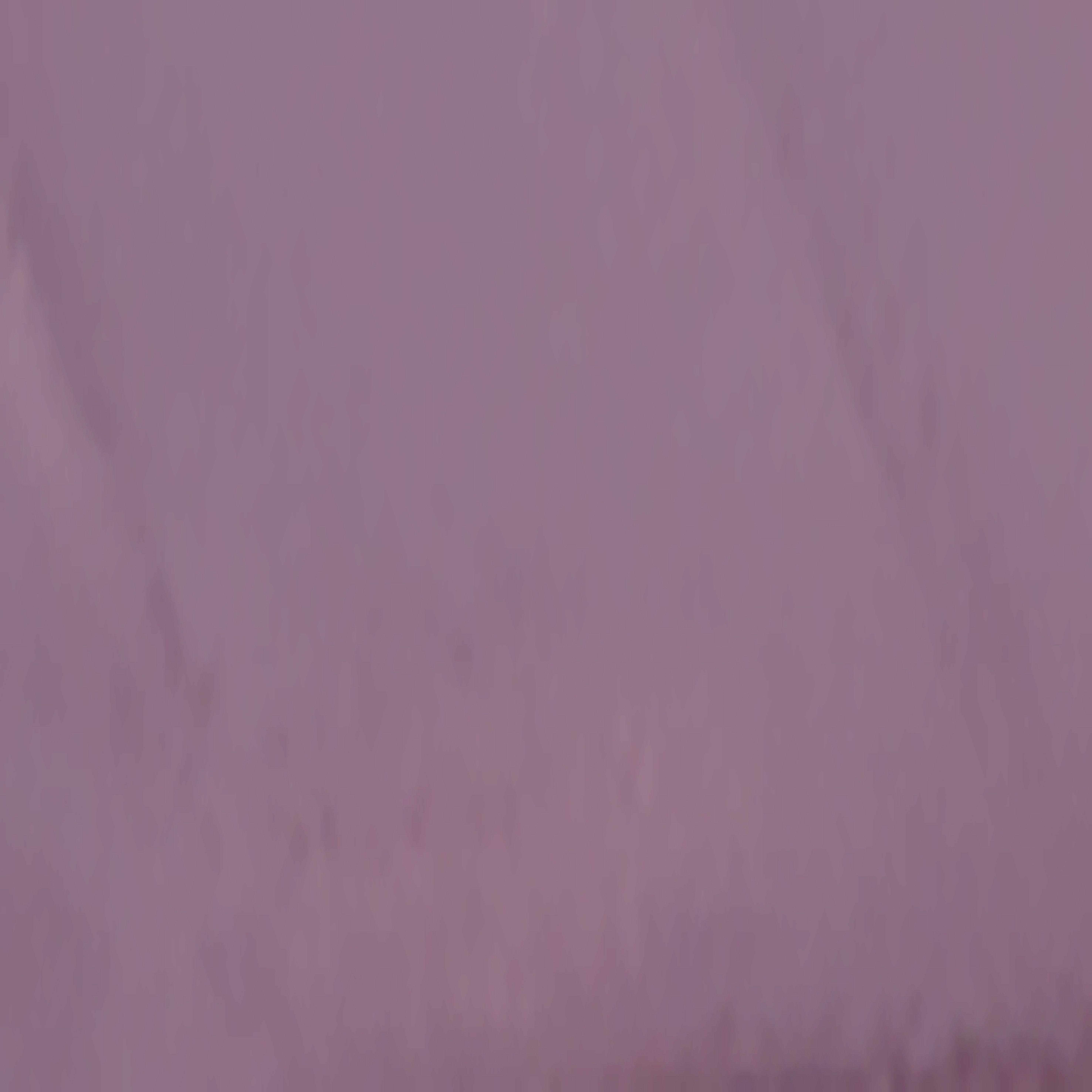 Swatch color Lilac Purple