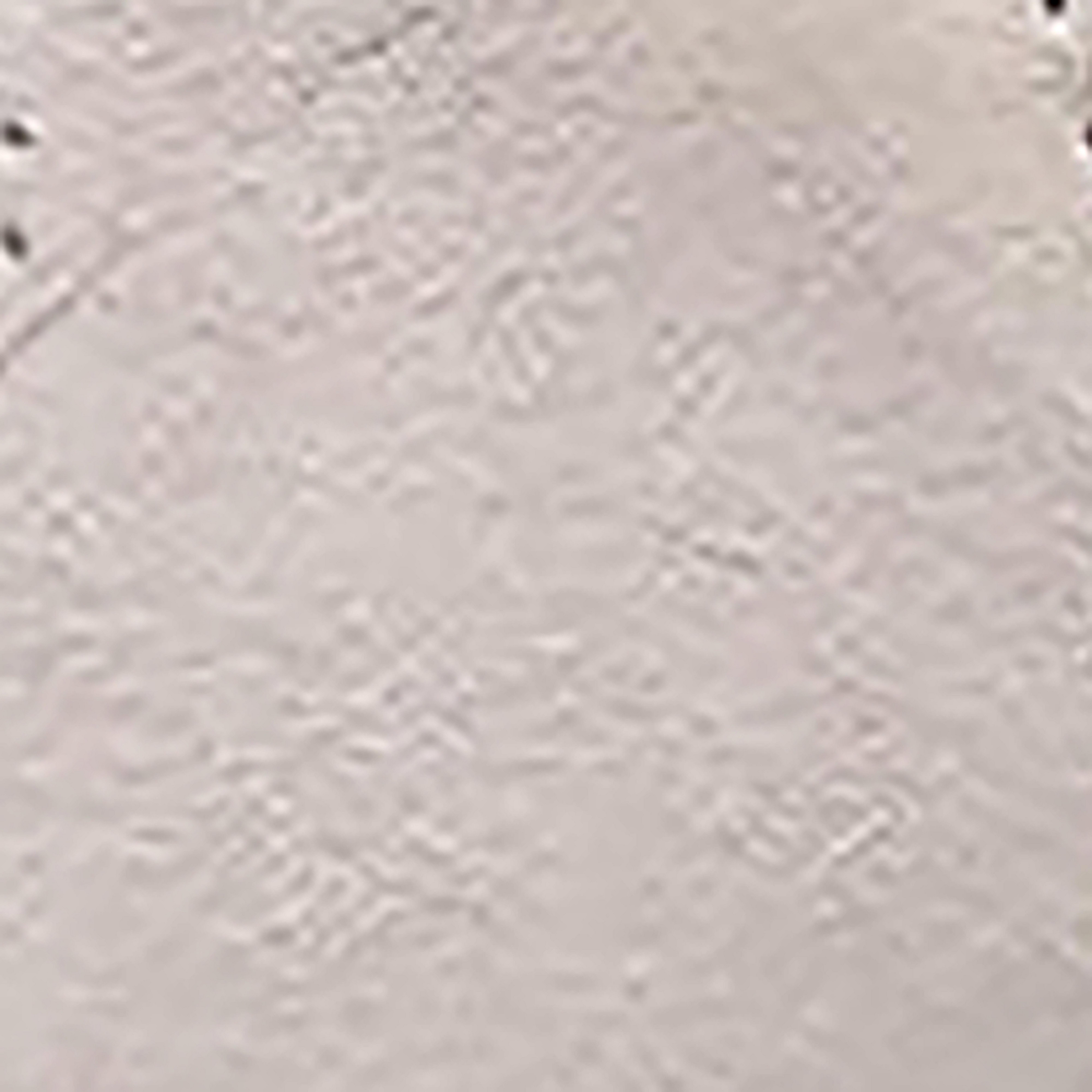 Swatch color Off White