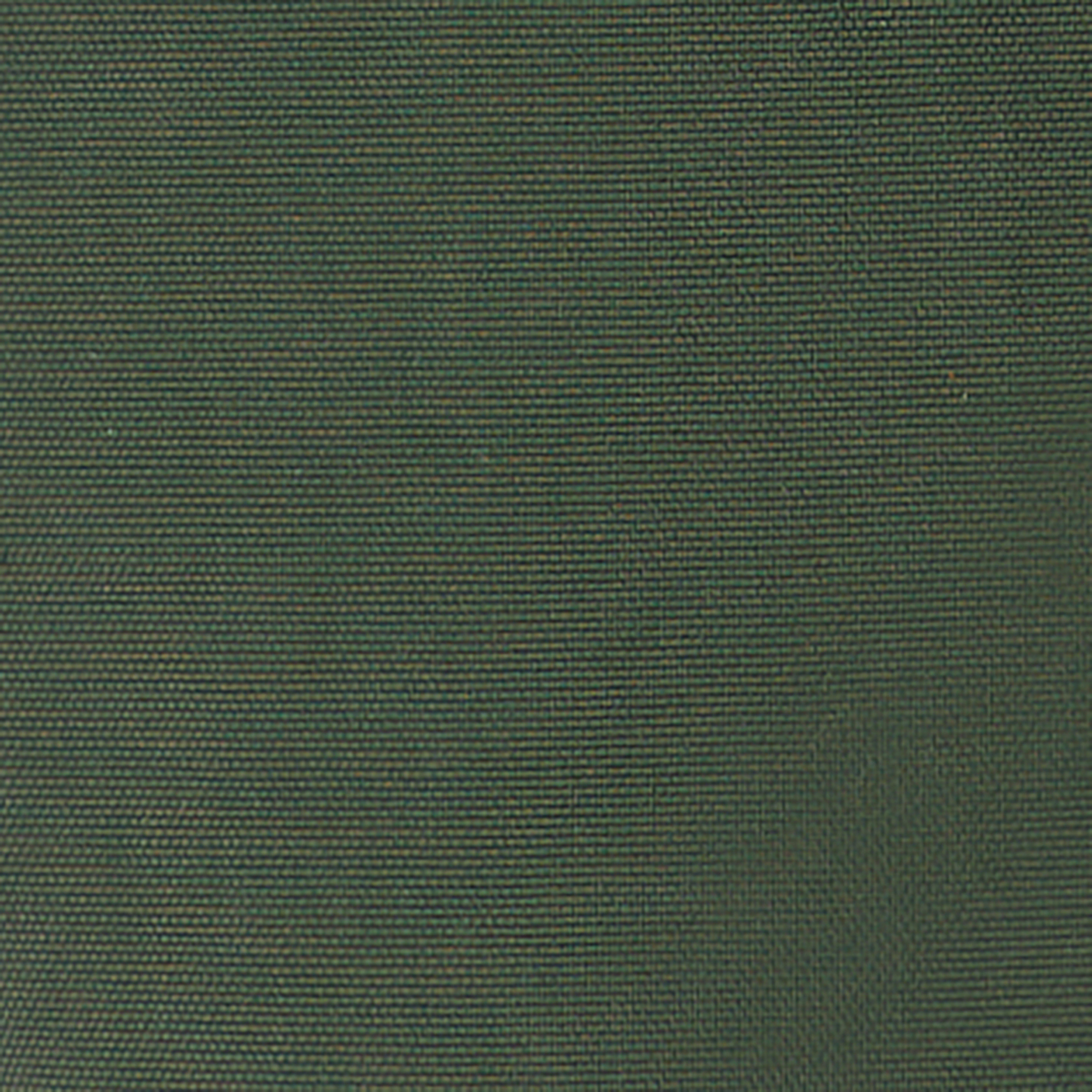 Swatch color Dark Forest Green