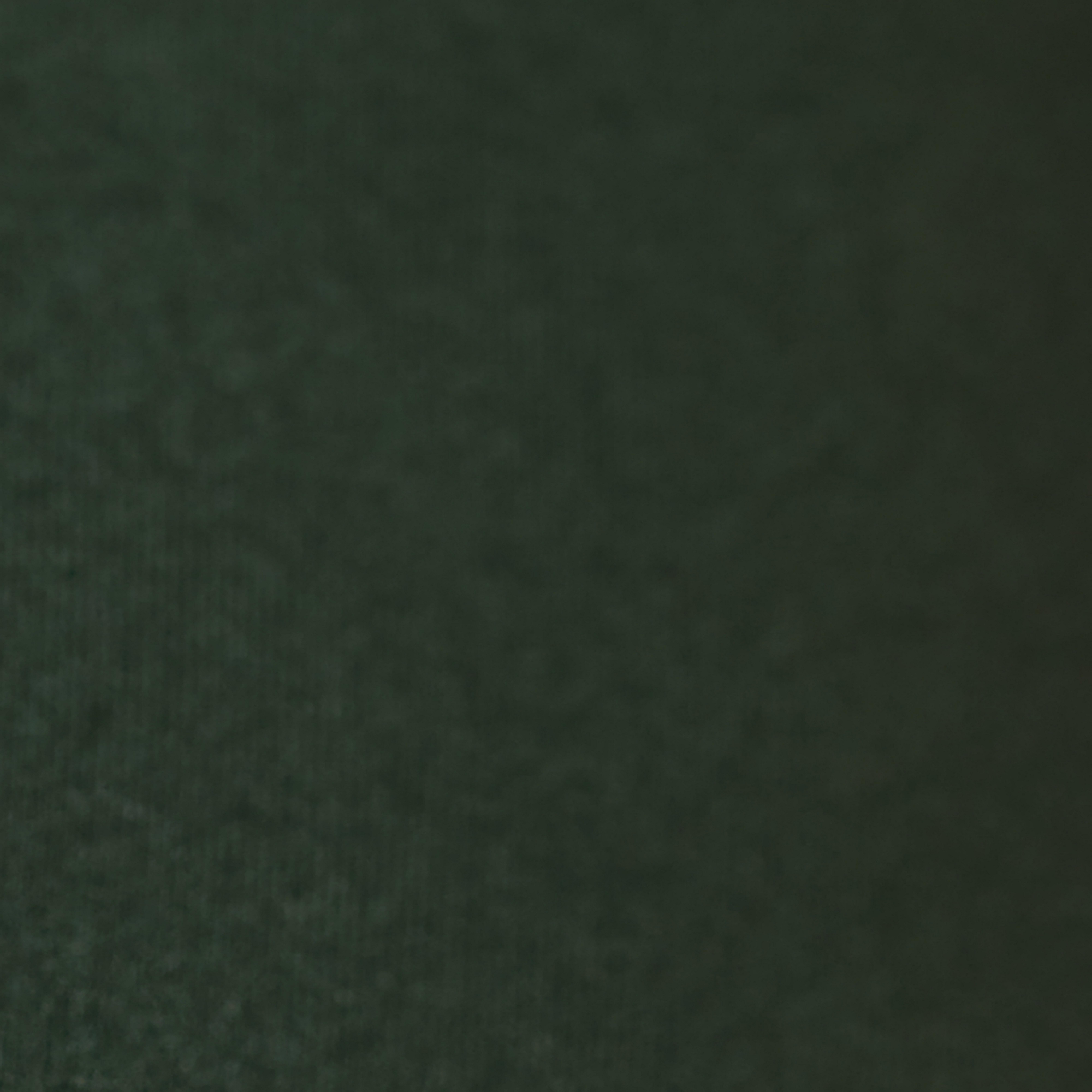 Swatch color Trek Green