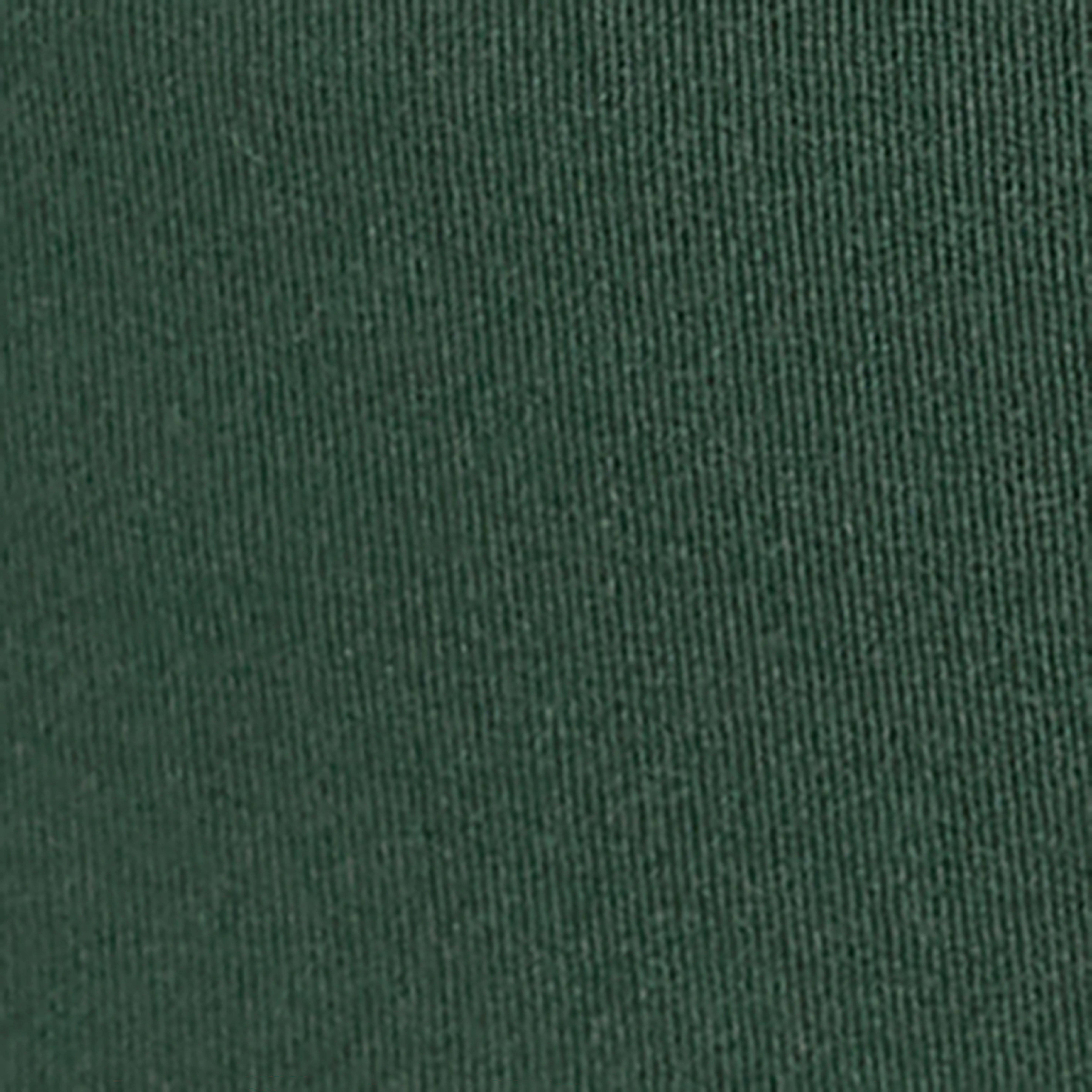 Swatch color Trek Green